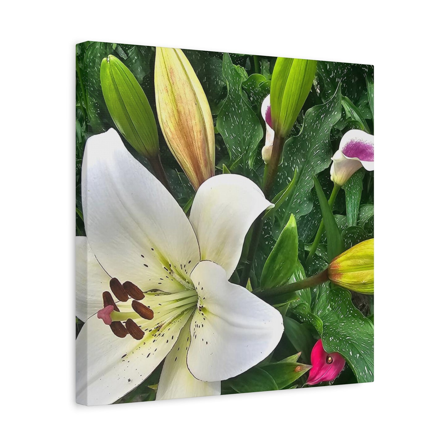 Lily Explosion, Matte Canvas, Stretched, 1.25"