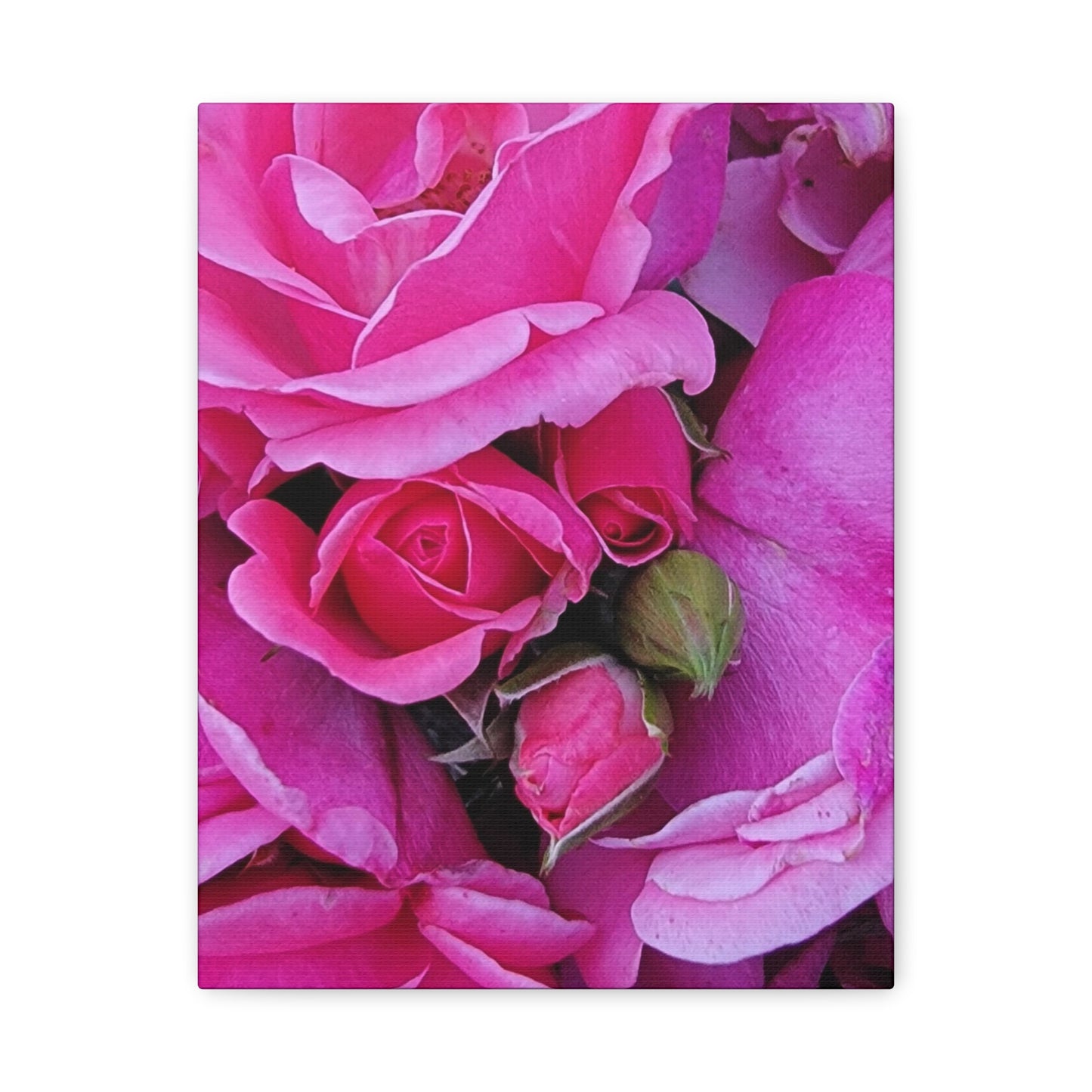 A Rose By Any Other Name, Matte Canvas, Stretched, 1.25"
