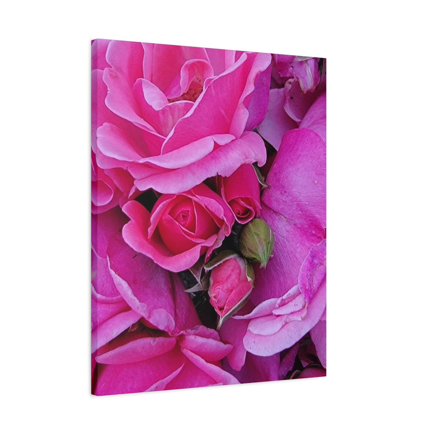 A Rose By Any Other Name, Matte Canvas, Stretched, 1.25"