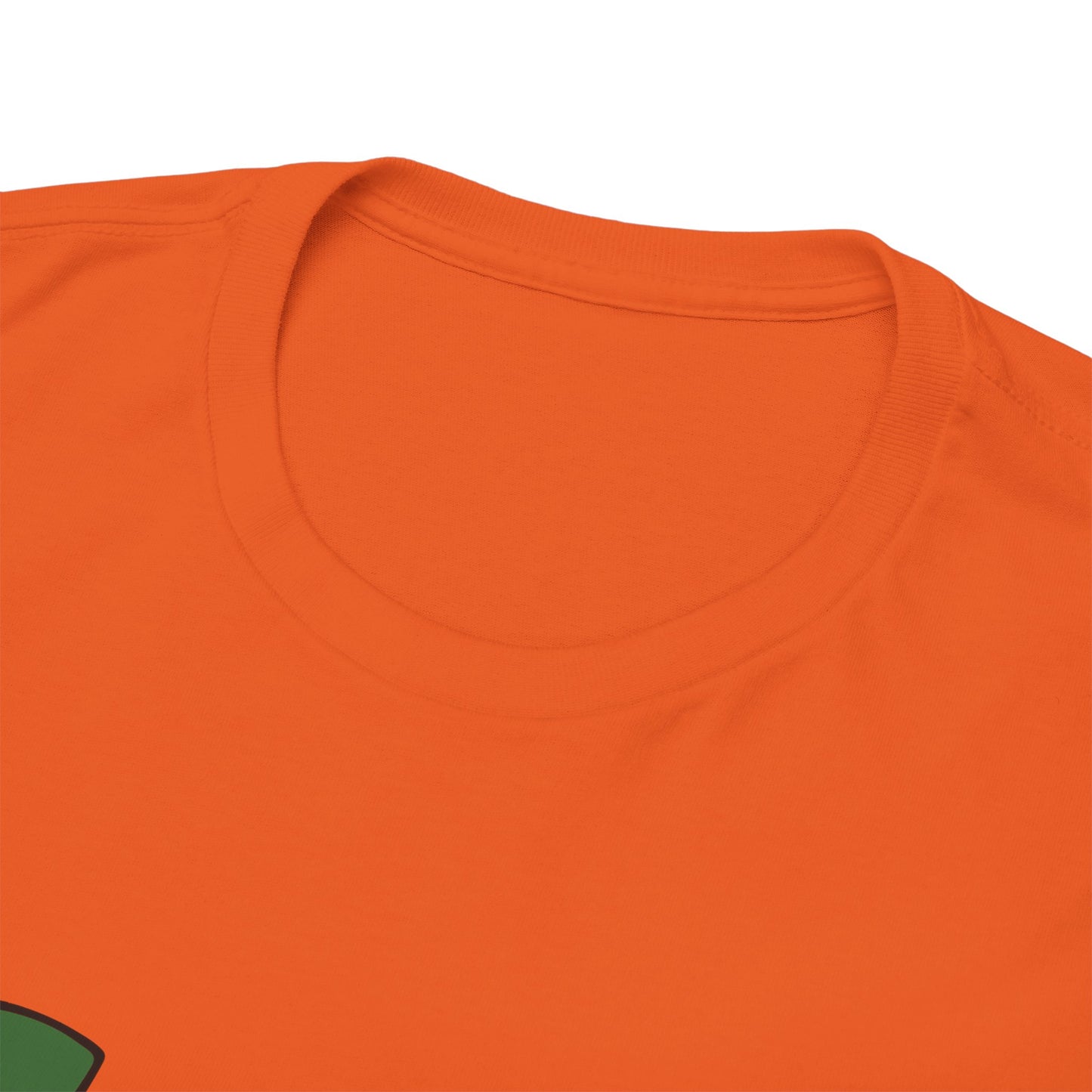 Unisex St Patrick's Day Beer Flag Heavy Cotton Tee