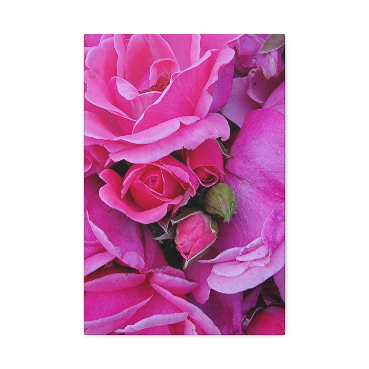 A Rose By Any Other Name, Matte Canvas, Stretched, 1.25"
