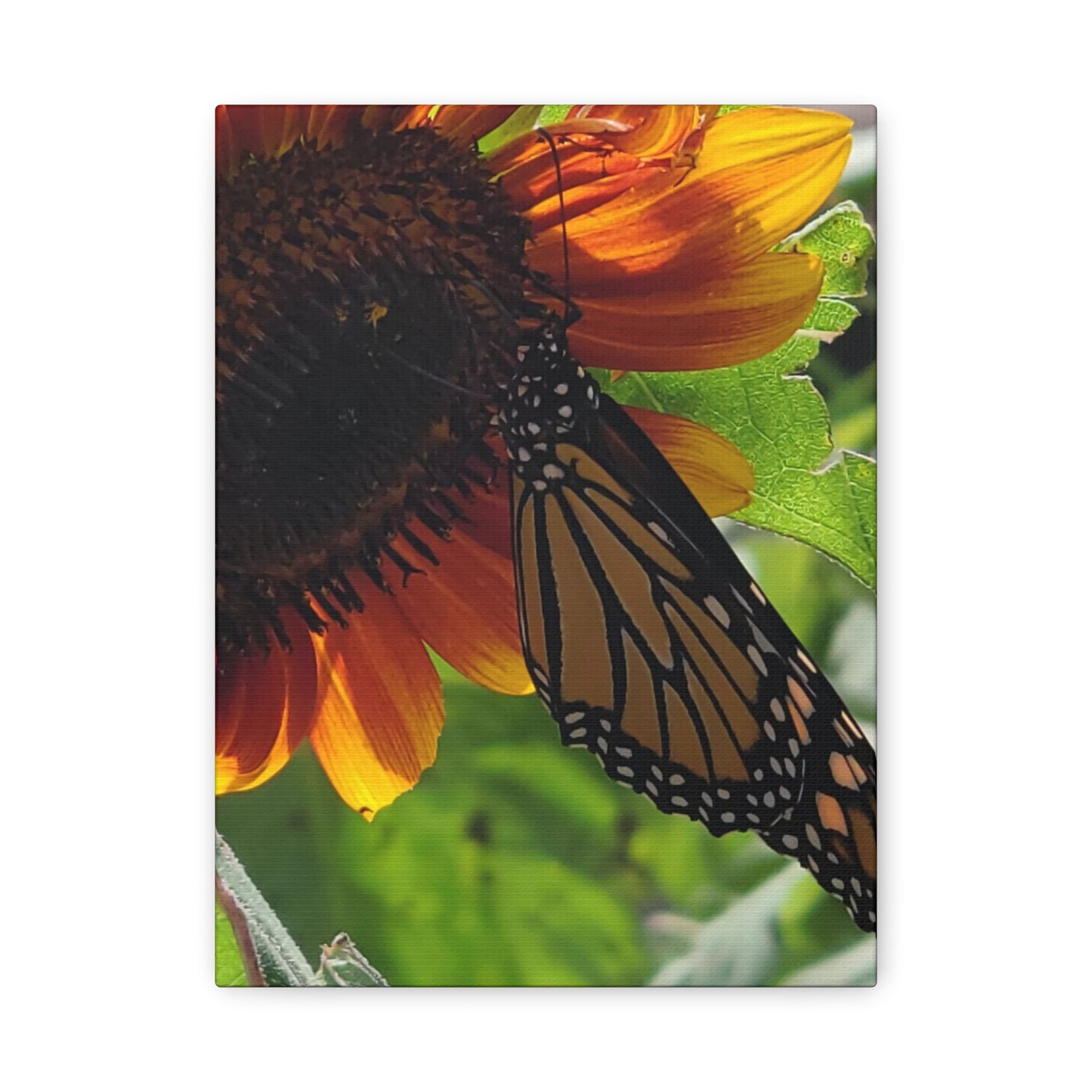 Sunshine Daydream, Matte Canvas, Stretched, 1.25"