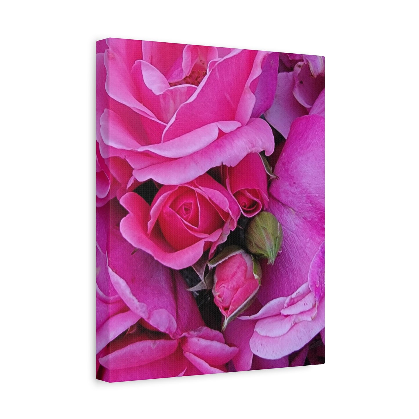 A Rose By Any Other Name, Matte Canvas, Stretched, 1.25"