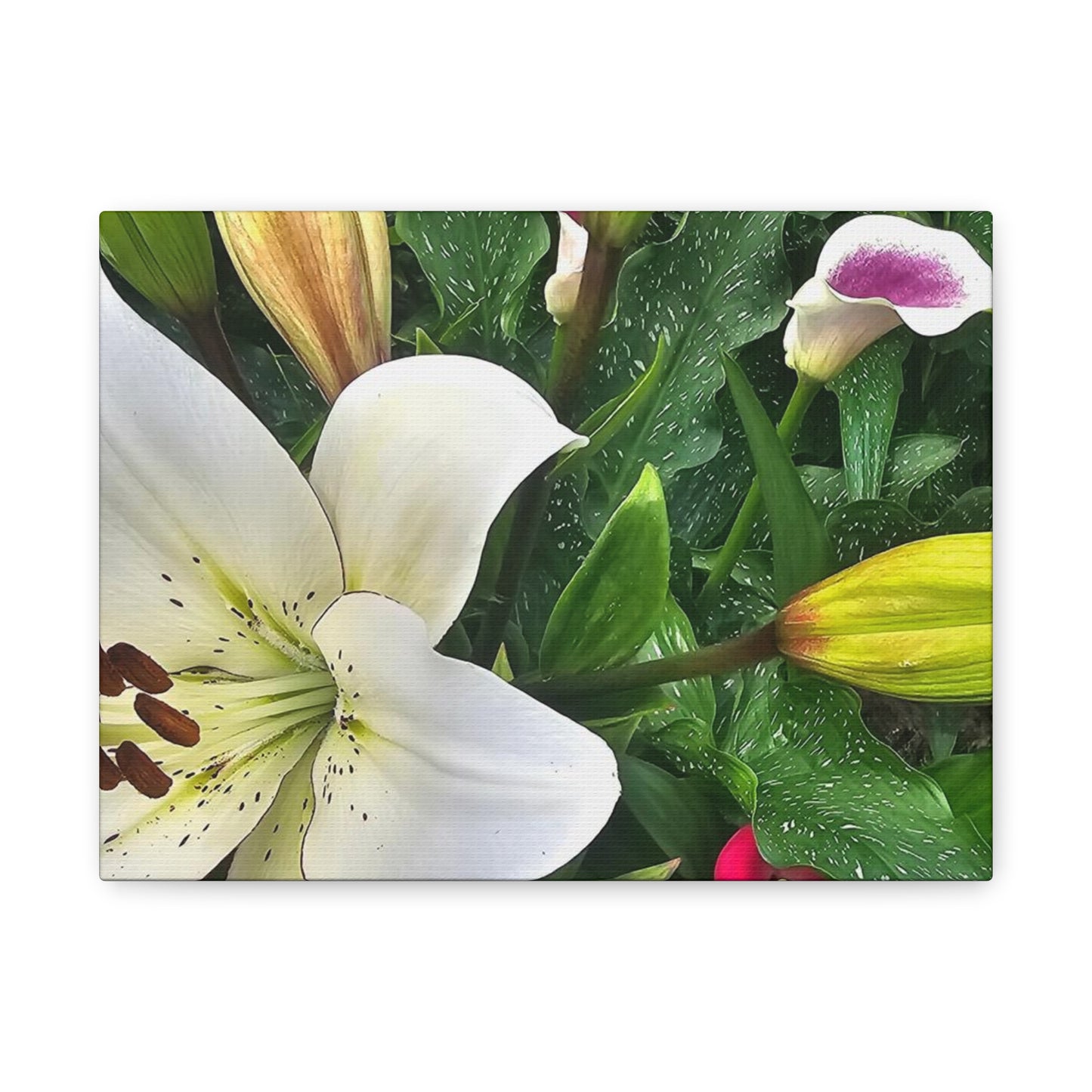 Lily Explosion, Matte Canvas, Stretched, 1.25"
